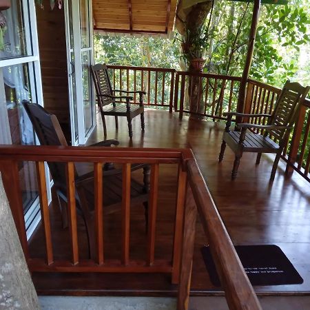Cinnamon View Lodge 미리사 외부 사진