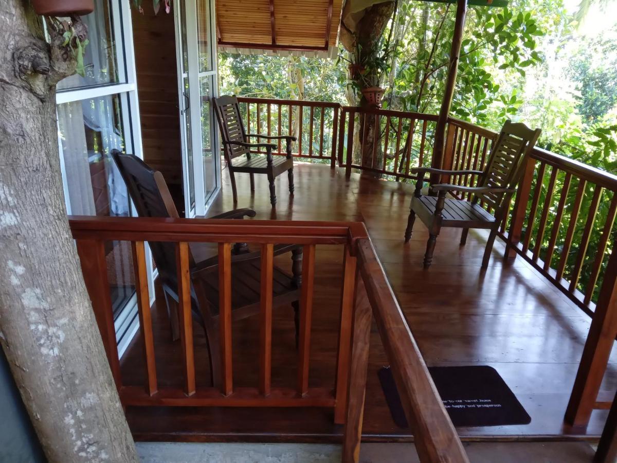 Cinnamon View Lodge 미리사 외부 사진