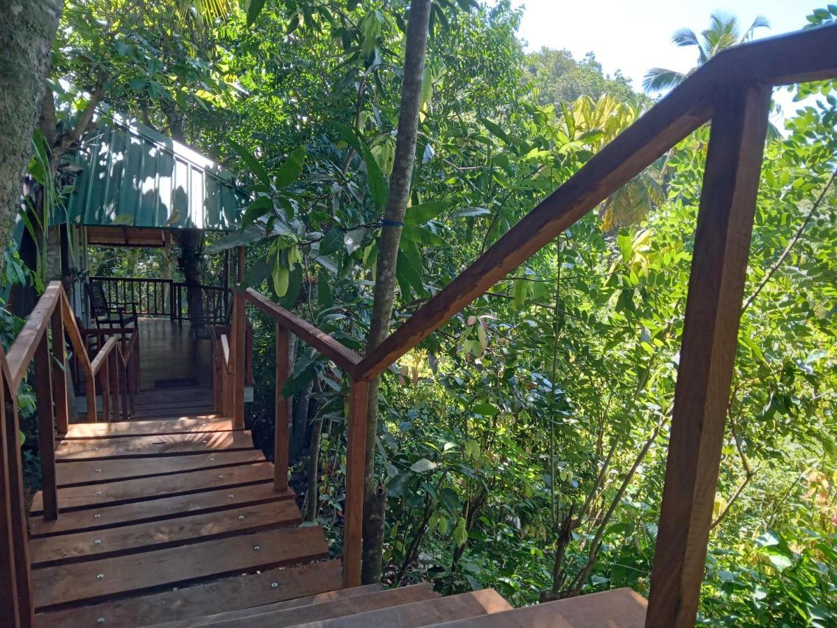 Cinnamon View Lodge 미리사 외부 사진
