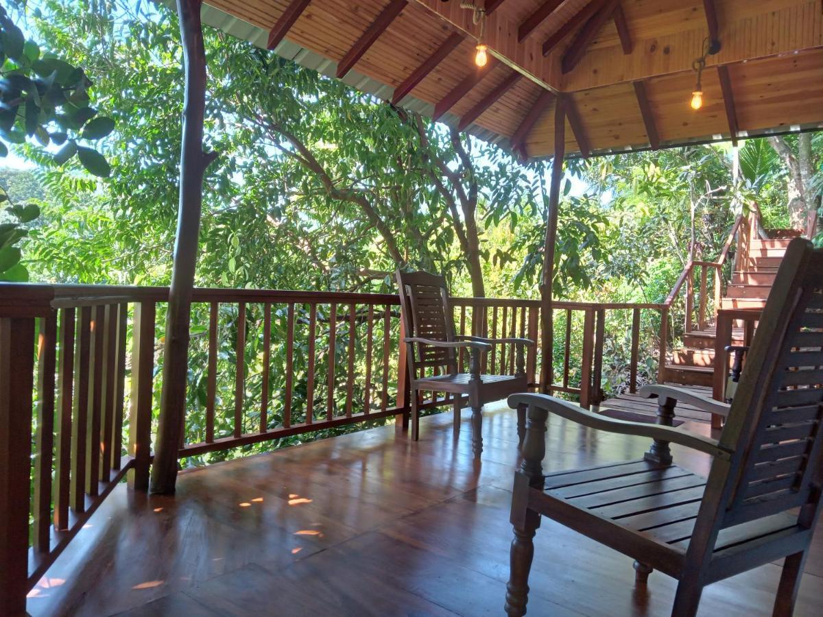 Cinnamon View Lodge 미리사 외부 사진