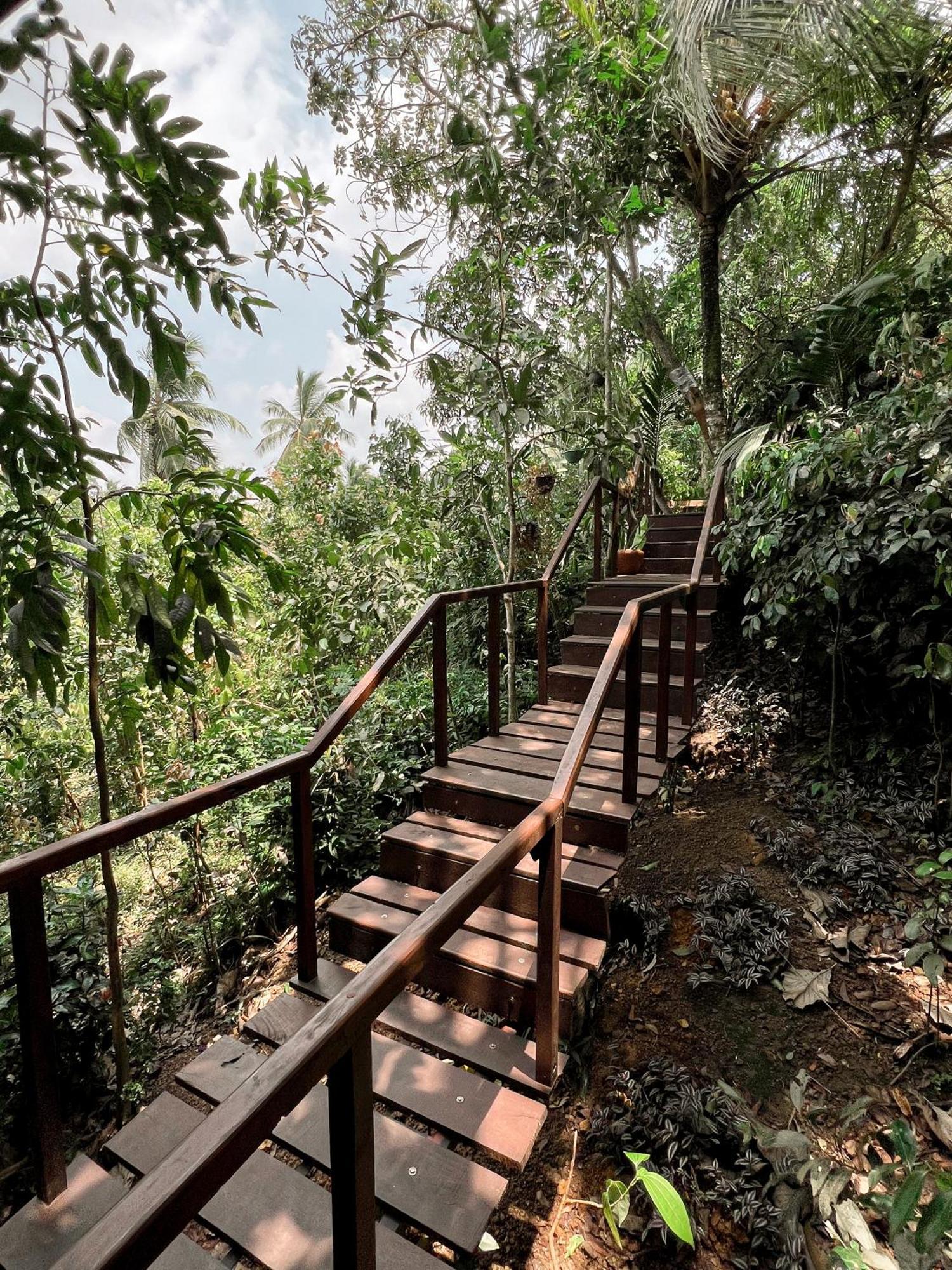 Cinnamon View Lodge 미리사 객실 사진